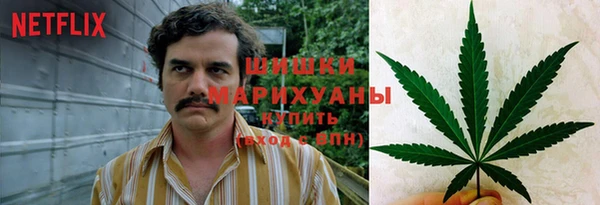 ECSTASY Богородицк