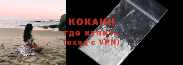 ECSTASY Богородицк