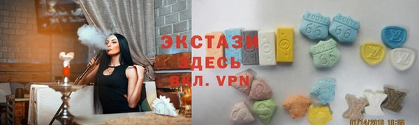 ECSTASY Богородицк