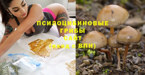 а пвп мука Богородск